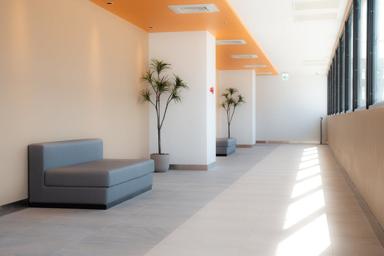 pexels photo 35839111.jpeg